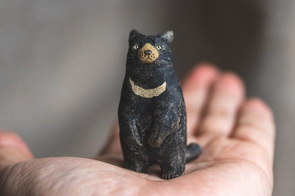 ツキノワネコ【猫_941】1枚目の画像