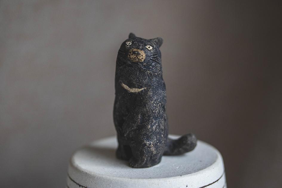 ツキノワネコ【猫_939】1枚目の画像