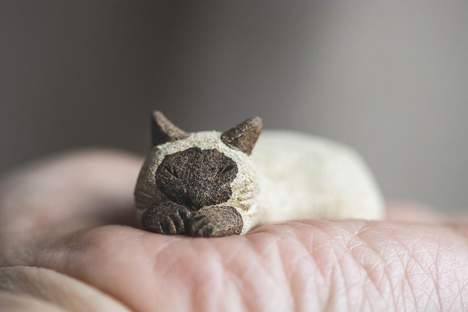 すやすやシャム【猫_955】