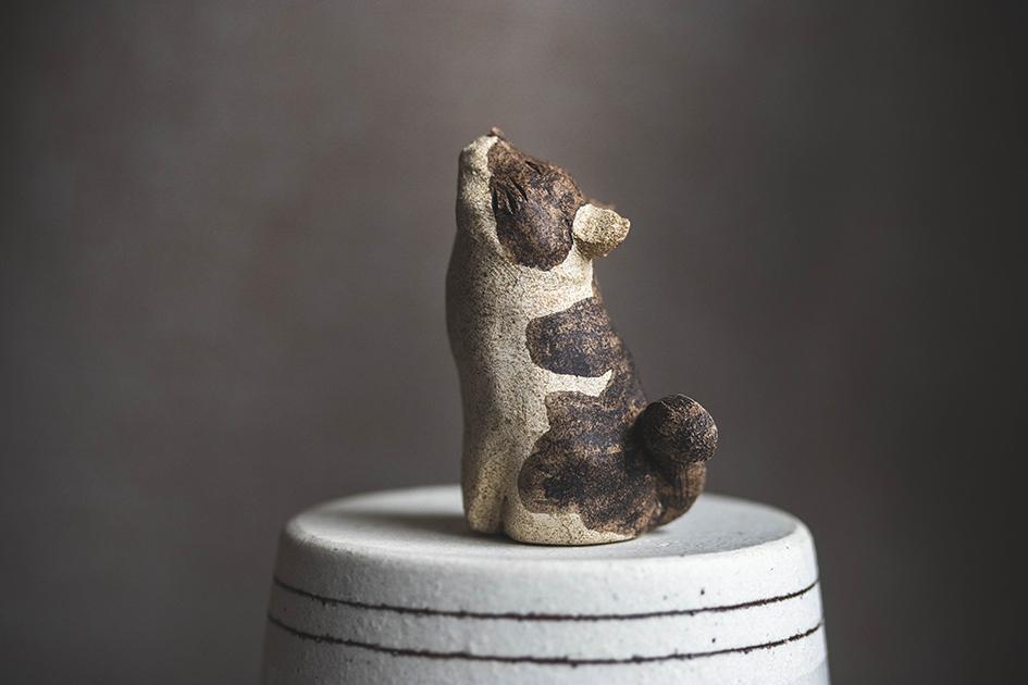 仰ぐ猫【猫_986】