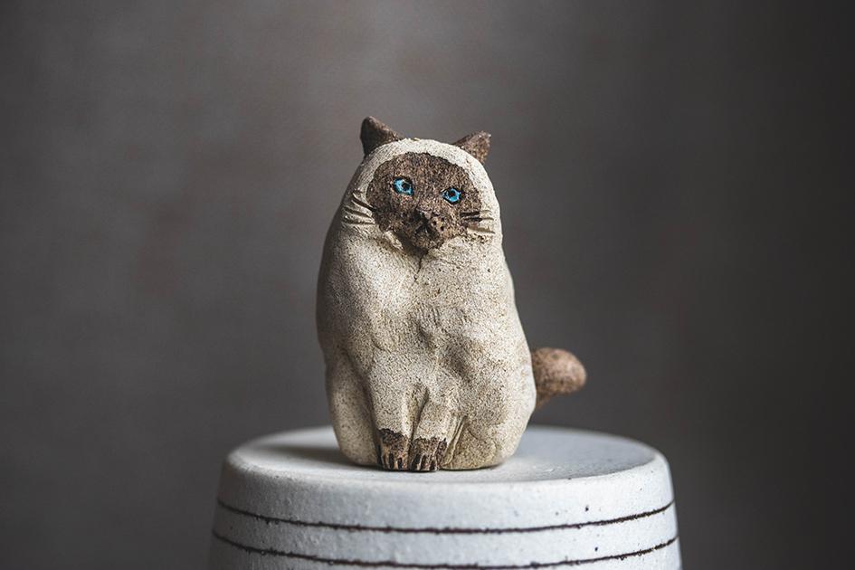 見つめるシャム猫【猫_984】