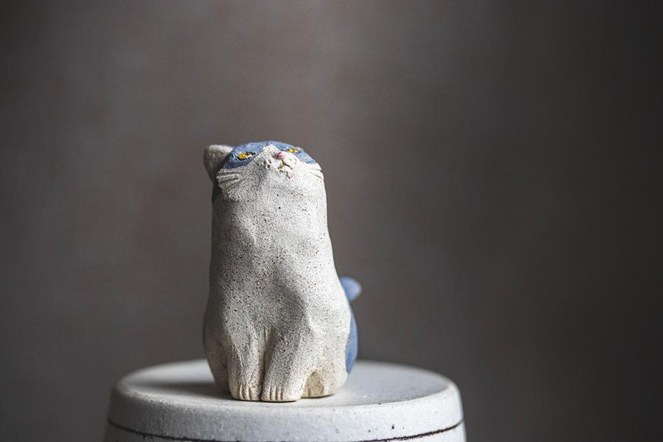 みつめる猫【猫_982】1枚目の画像