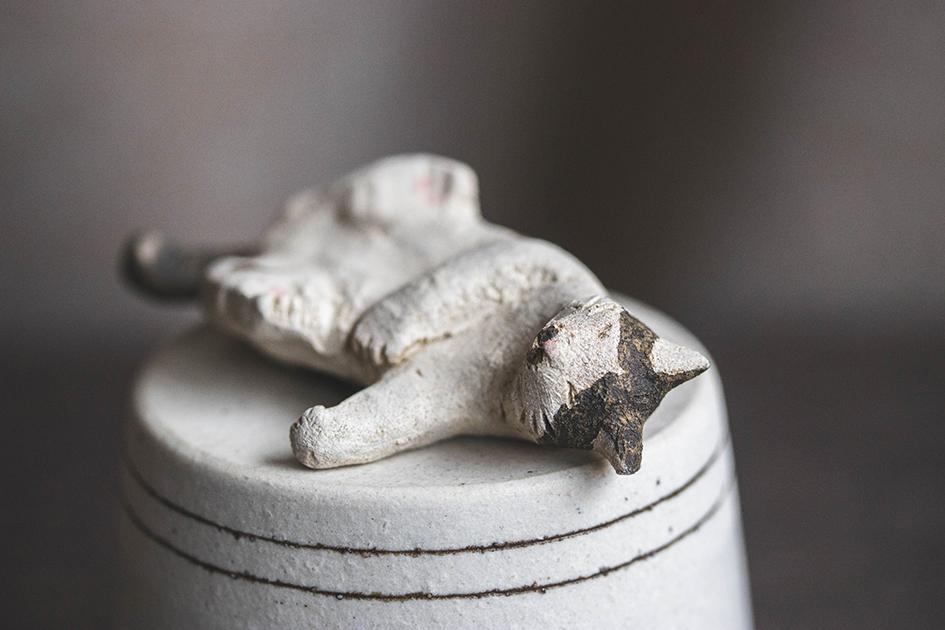 へそ天にゃんこ【猫_973】