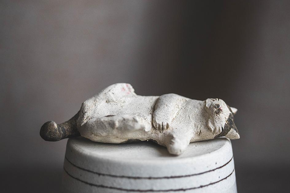 へそ天にゃんこ【猫_973】 | 2枚目