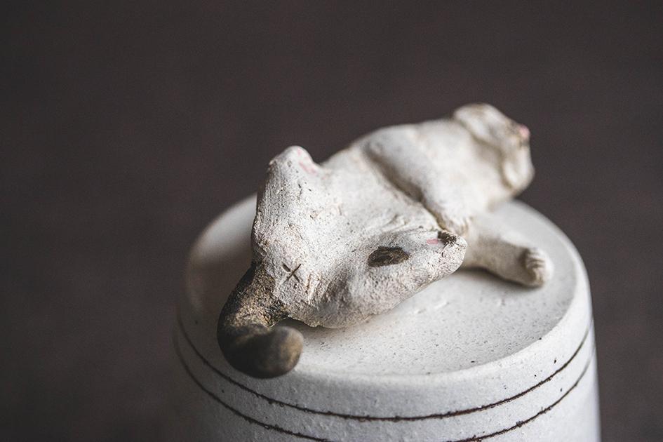 へそ天にゃんこ【猫_973】 | 3枚目