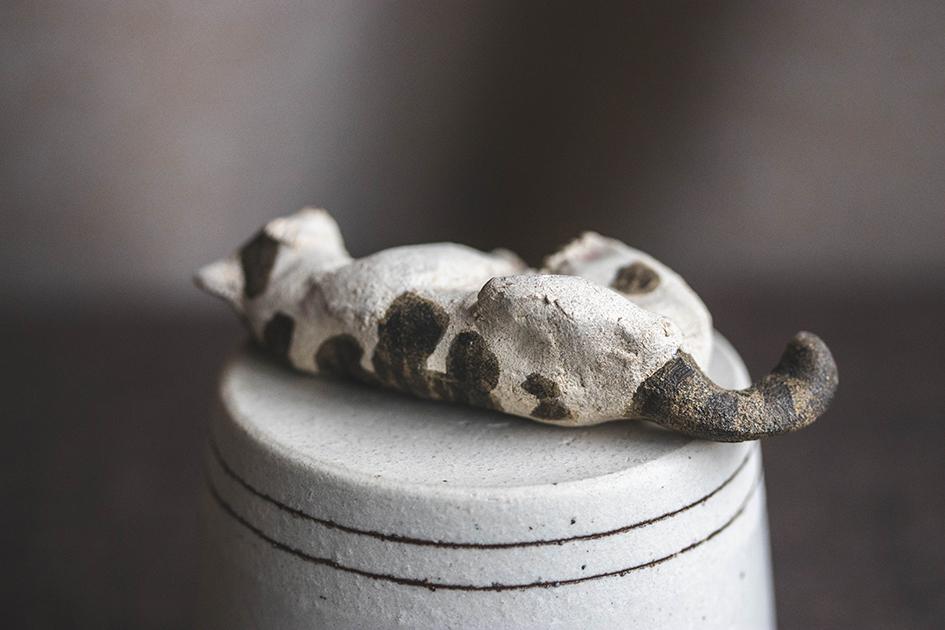 へそ天にゃんこ【猫_973】 | 4枚目