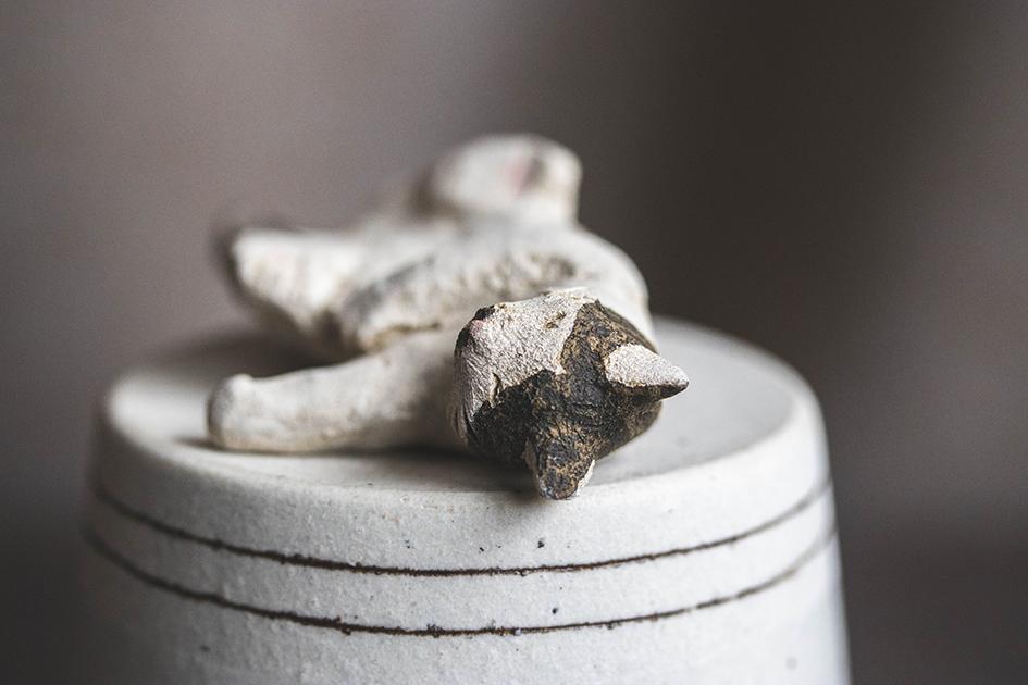 へそ天にゃんこ【猫_973】 | 5枚目