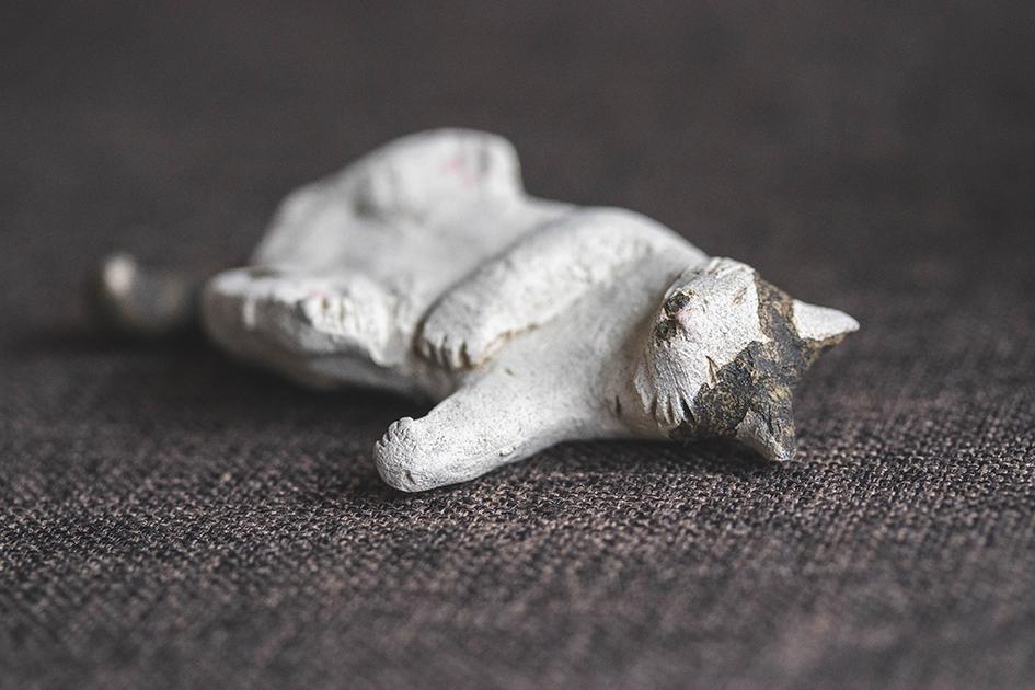 へそ天にゃんこ【猫_973】 | 8枚目