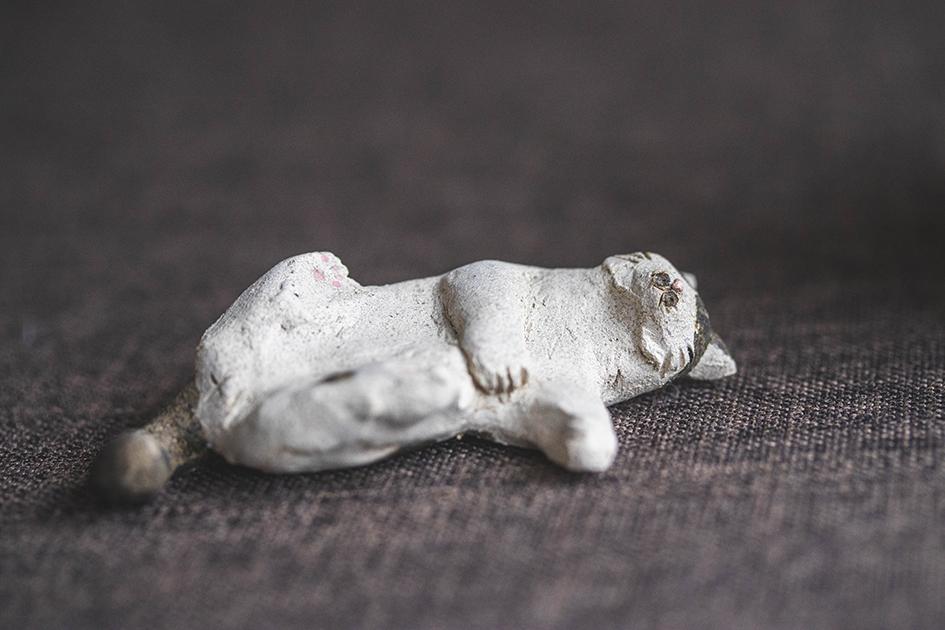 へそ天にゃんこ【猫_973】 | 9枚目