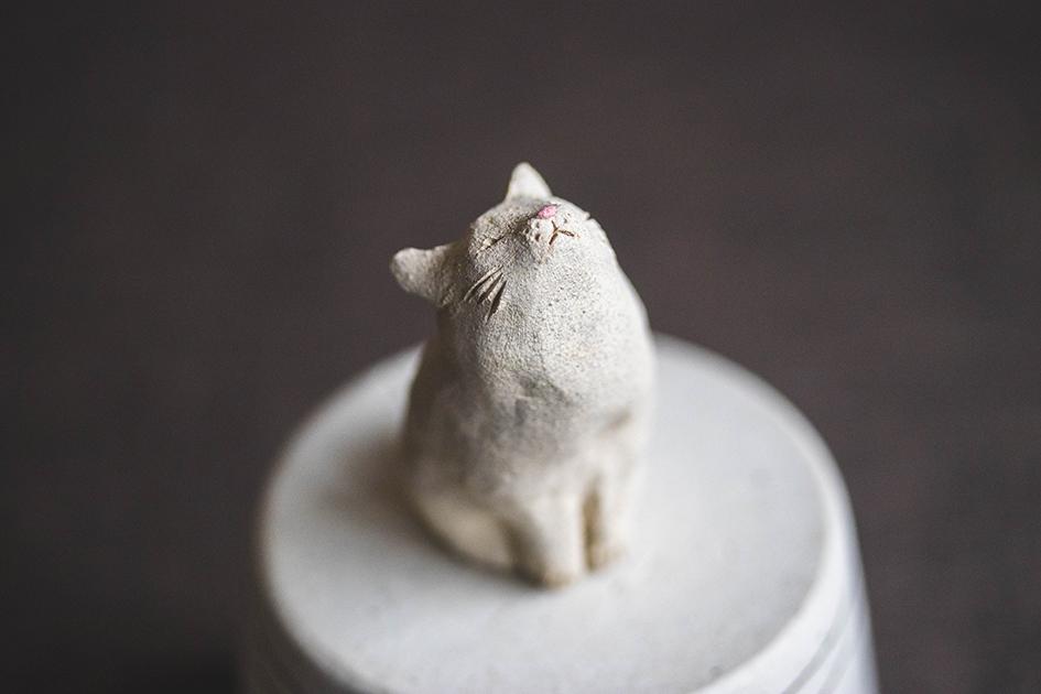 仰ぐ白猫【猫_971】