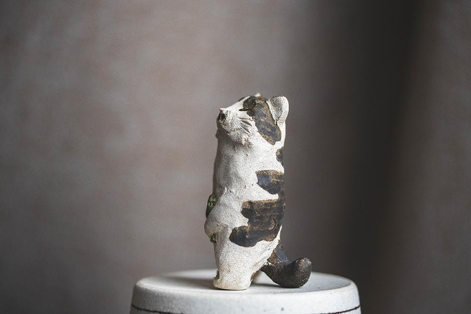 しあわせ猫【猫_970】 | 8枚目