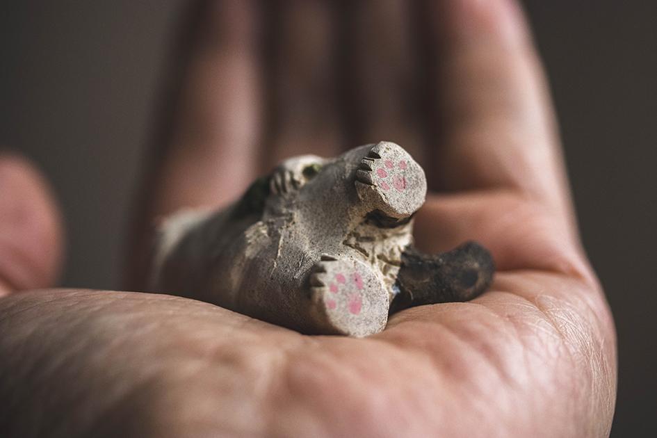 しあわせ猫【猫_970】 | 10枚目