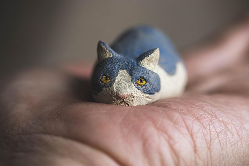 見つめる伏せ猫【猫_963】1枚目の画像