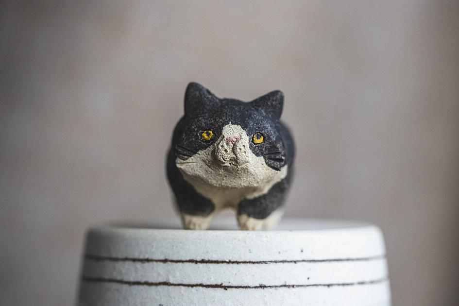 ぼんちゃん【猫_961】