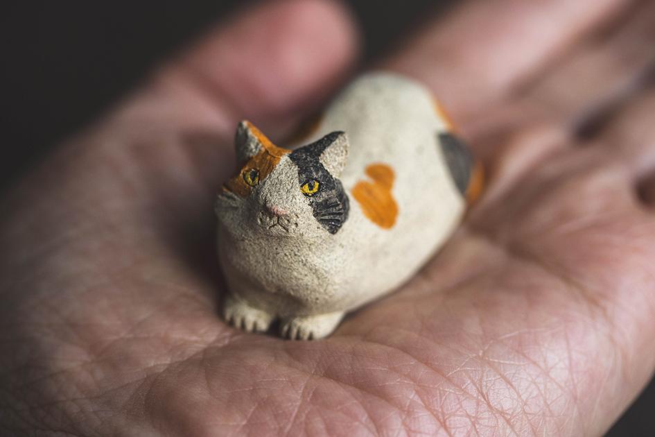 みつめる三毛【猫_958】