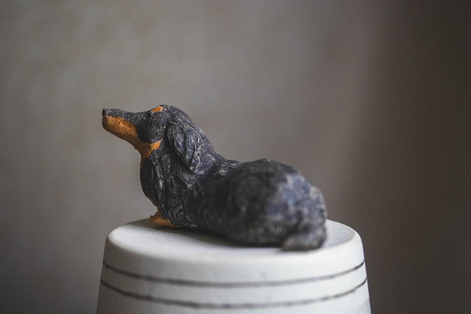 見上げるダックス【犬_116】1枚目の画像