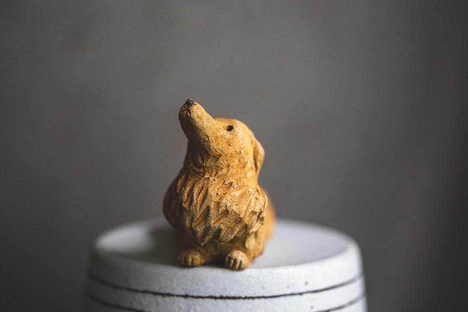 見上げるダックス_ゴールデン【犬_117】