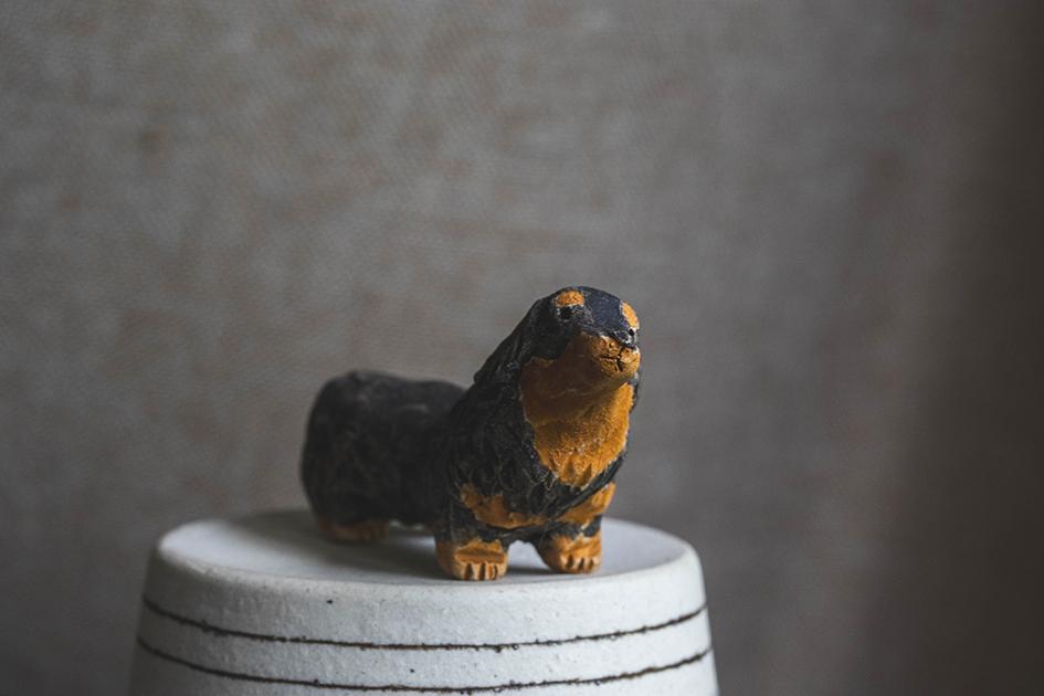 見つめるダックス【犬_118】1枚目の画像
