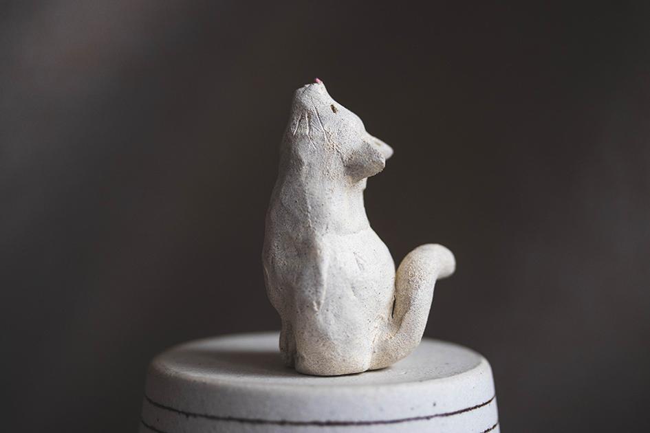 仰ぐ猫【猫_989】