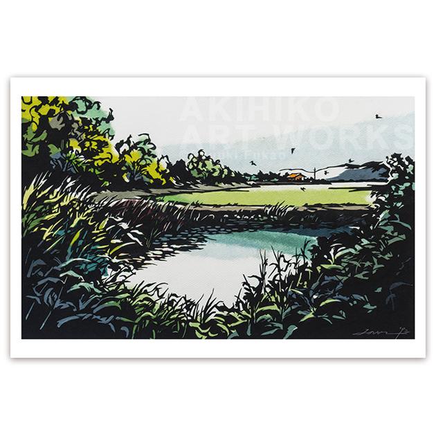 ポストカード【A_293：舞ふ】５枚セット　※他の絵柄との組み合わせでのセット出品もしています1枚目の画像