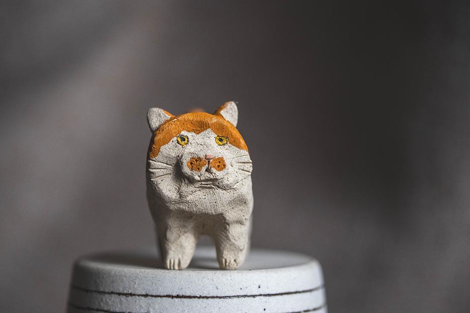 ちょび猫【猫_1023】1枚目の画像