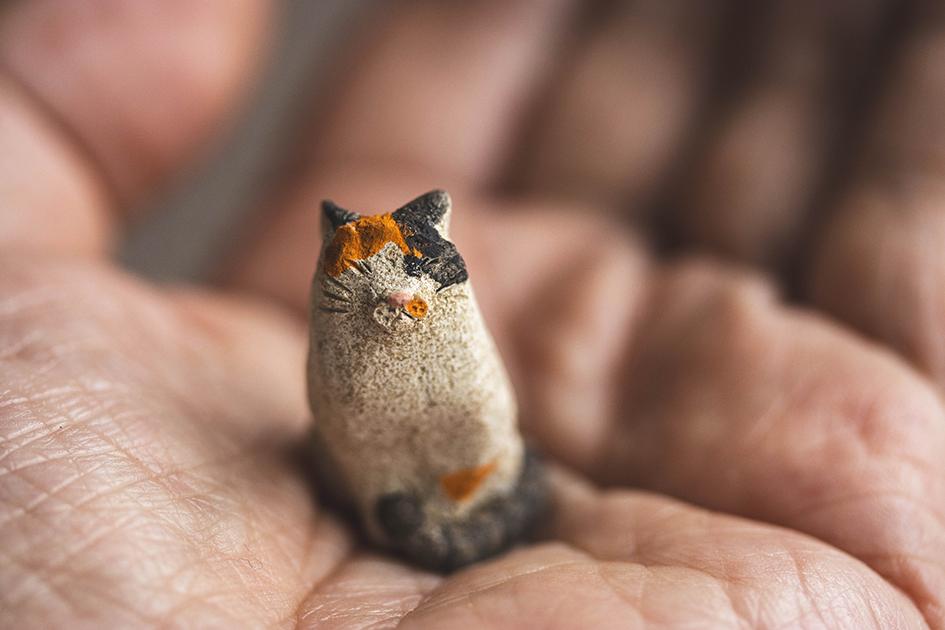 ちいさな三毛猫【猫_1043】※通常よりも小さい猫です | 10枚目