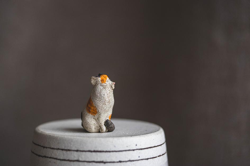 ちいさな三毛猫【猫_1043】※通常よりも小さい猫です | 5枚目