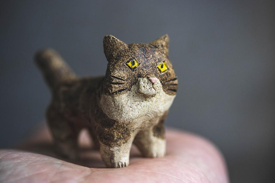 見つめる猫【猫_927】 | 2枚目