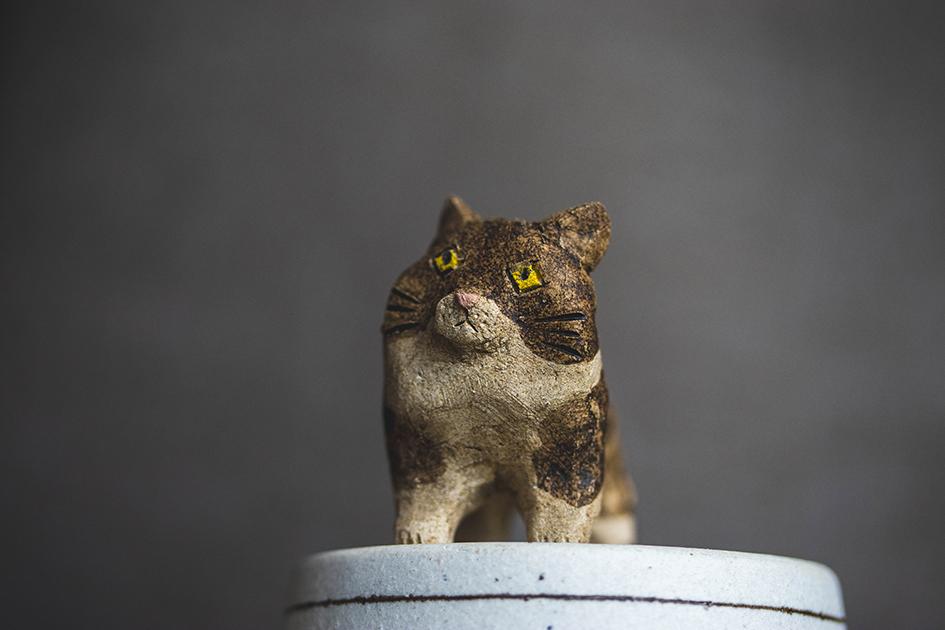 見つめる猫【猫_927】 | 3枚目