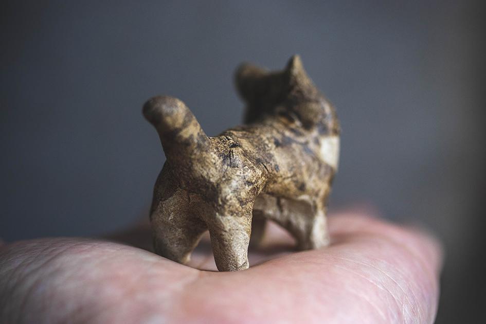 見つめる猫【猫_927】 | 4枚目