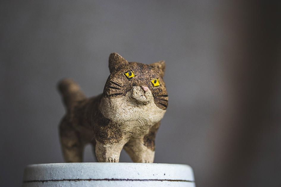 見つめる猫【猫_927】 | 5枚目