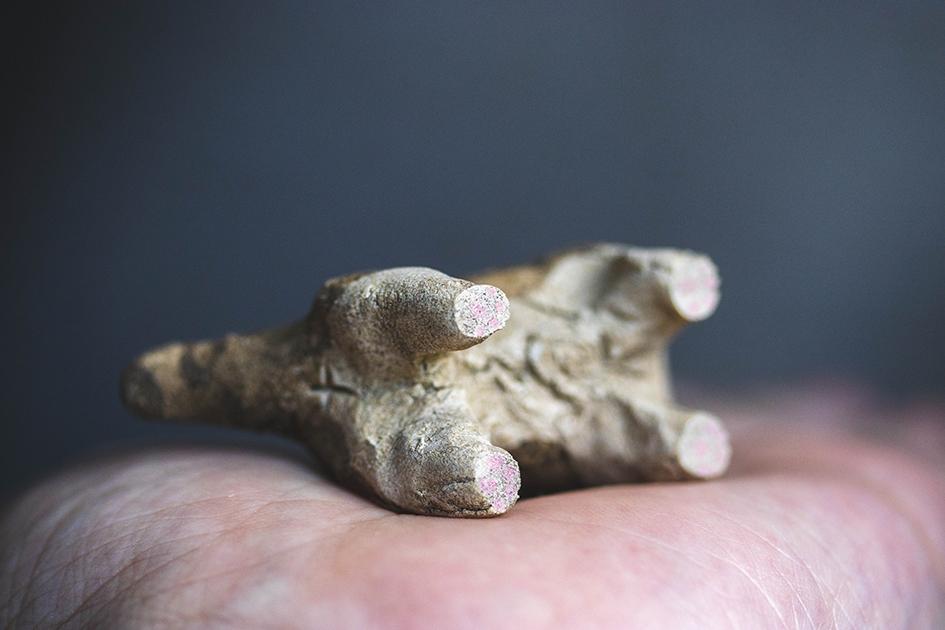 見つめる猫【猫_927】 | 6枚目