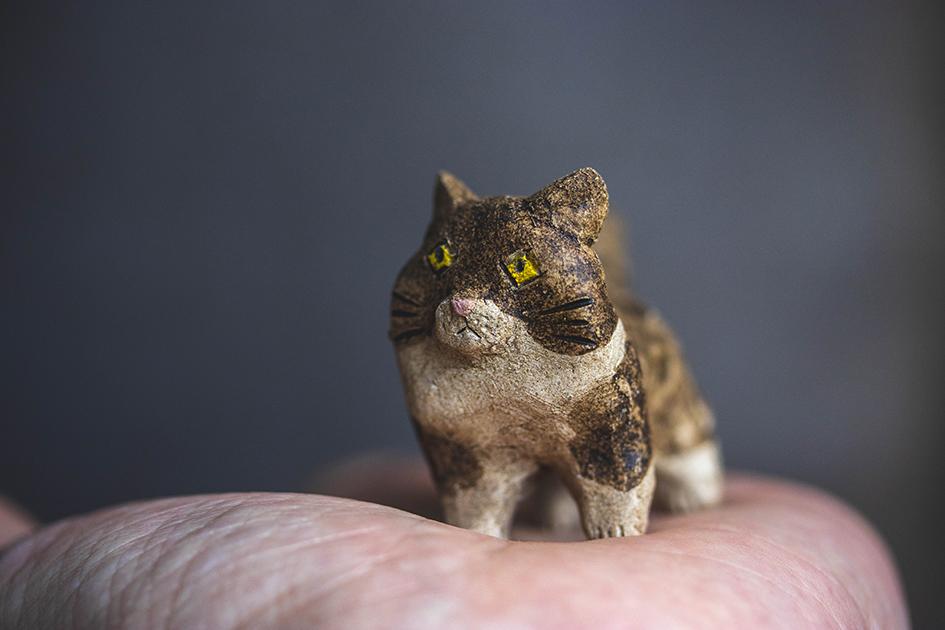 見つめる猫【猫_927】 | 7枚目