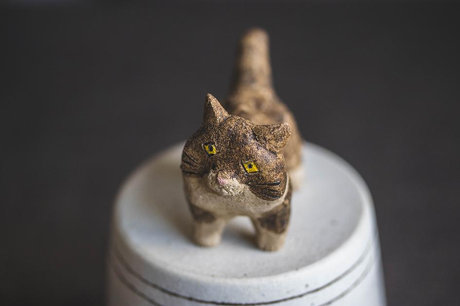 見つめる猫【猫_927】 | 8枚目