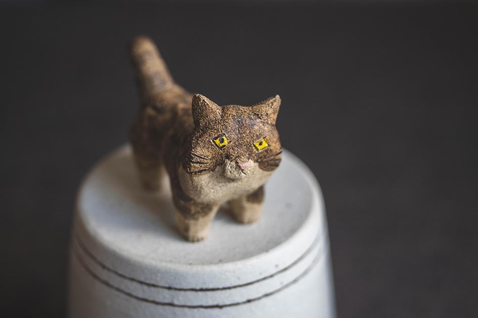 見つめる猫【猫_927】 | 9枚目