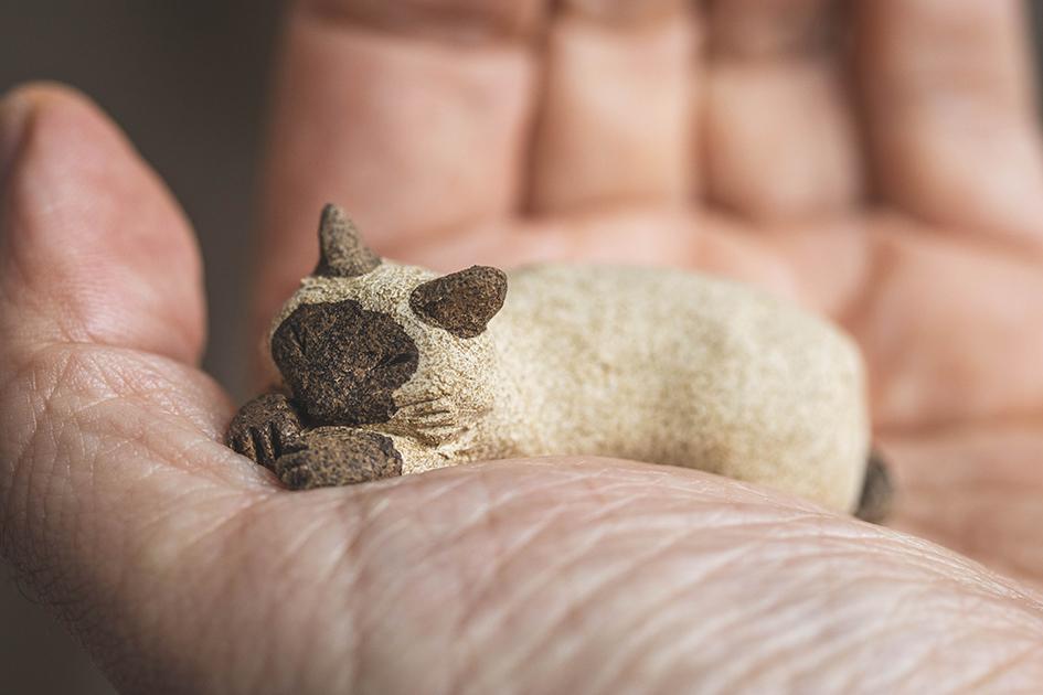 すやすやシャム【猫_955】 | 3枚目