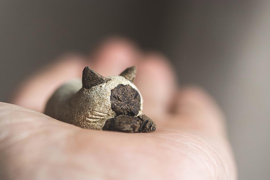 すやすやシャム【猫_955】 | 5枚目