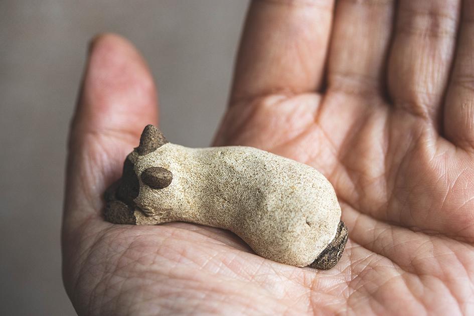 すやすやシャム【猫_955】 | 7枚目