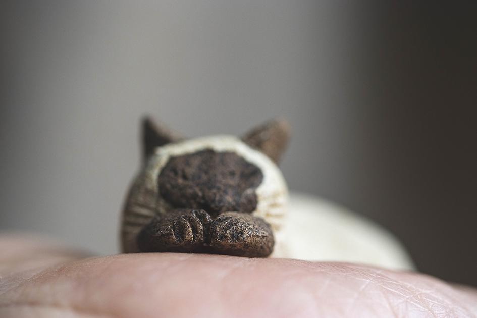 すやすやシャム【猫_955】 | 9枚目