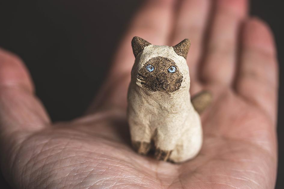 半立ちシャム【猫_949】 | 4枚目