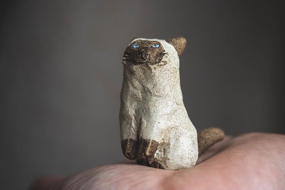 半立ちシャム【猫_949】 | 5枚目