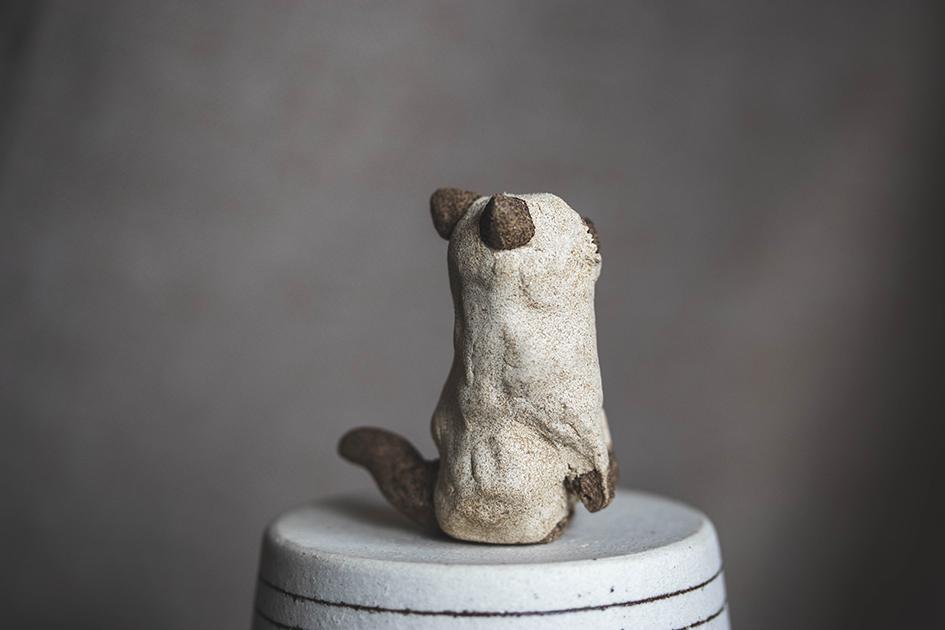 半立ちシャム【猫_949】 | 6枚目