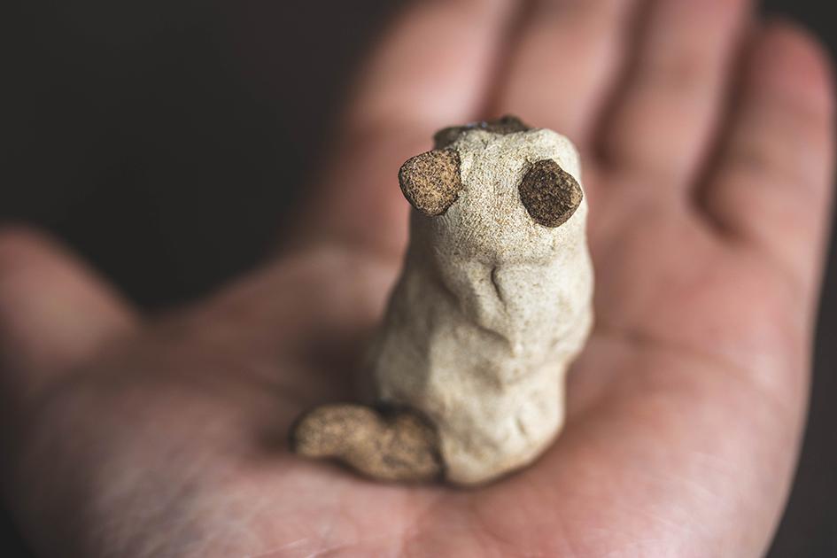 半立ちシャム【猫_949】 | 7枚目