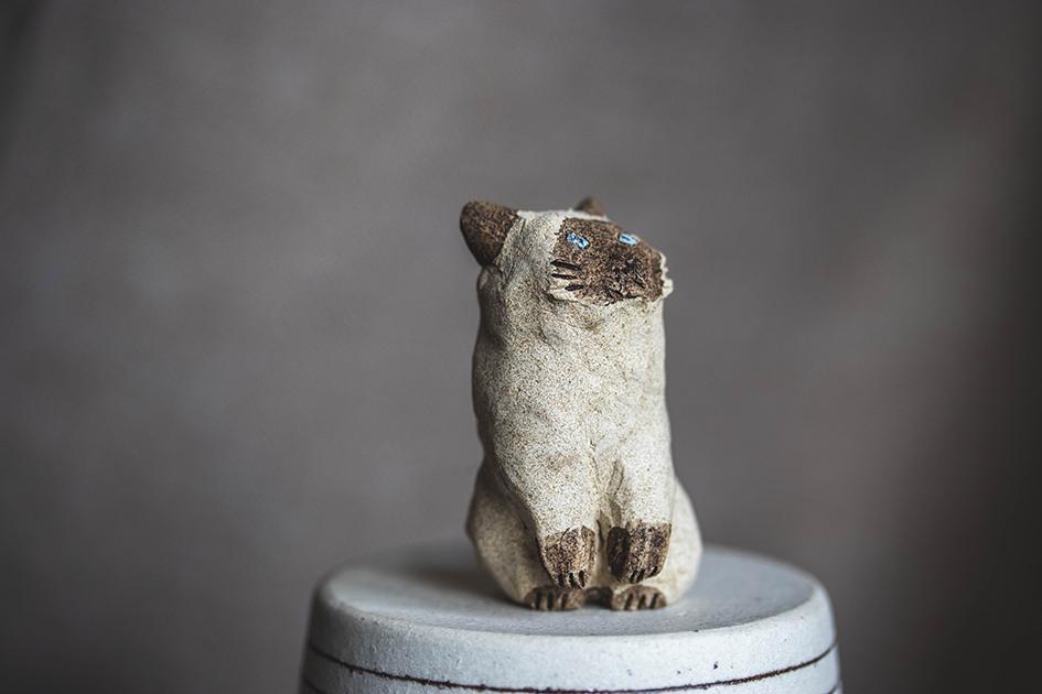 半立ちシャム【猫_949】 | 9枚目