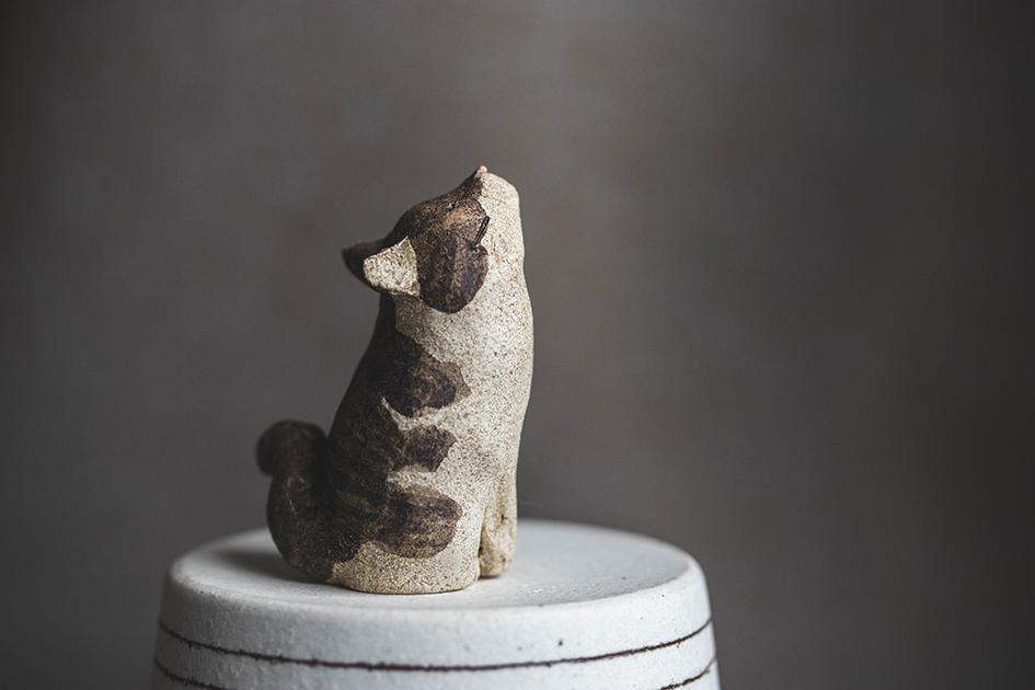 仰ぐ猫【猫_986】 | 2枚目