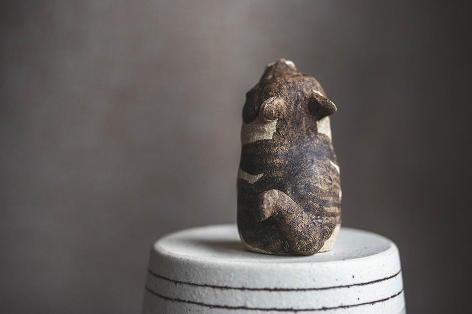 仰ぐ猫【猫_986】 | 3枚目