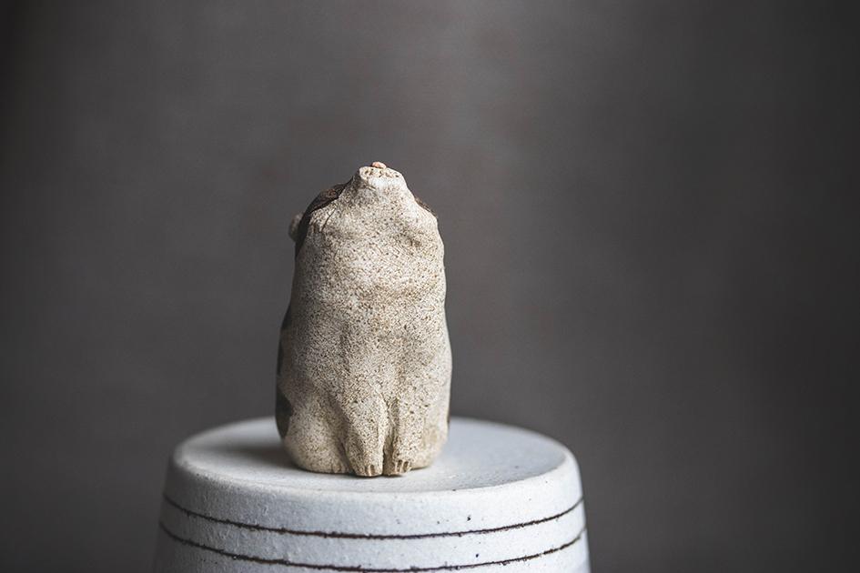 仰ぐ猫【猫_986】 | 4枚目