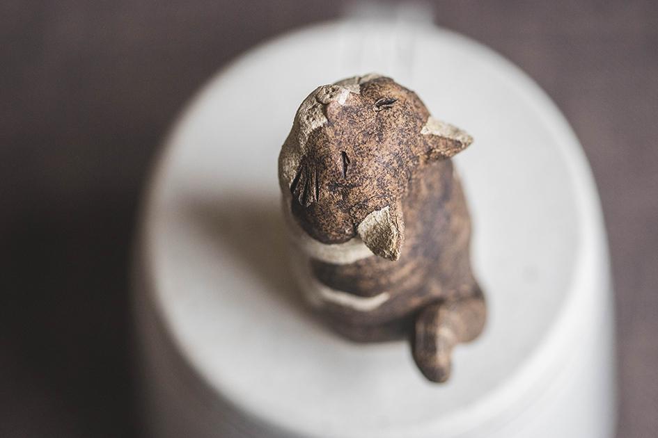 仰ぐ猫【猫_986】 | 5枚目