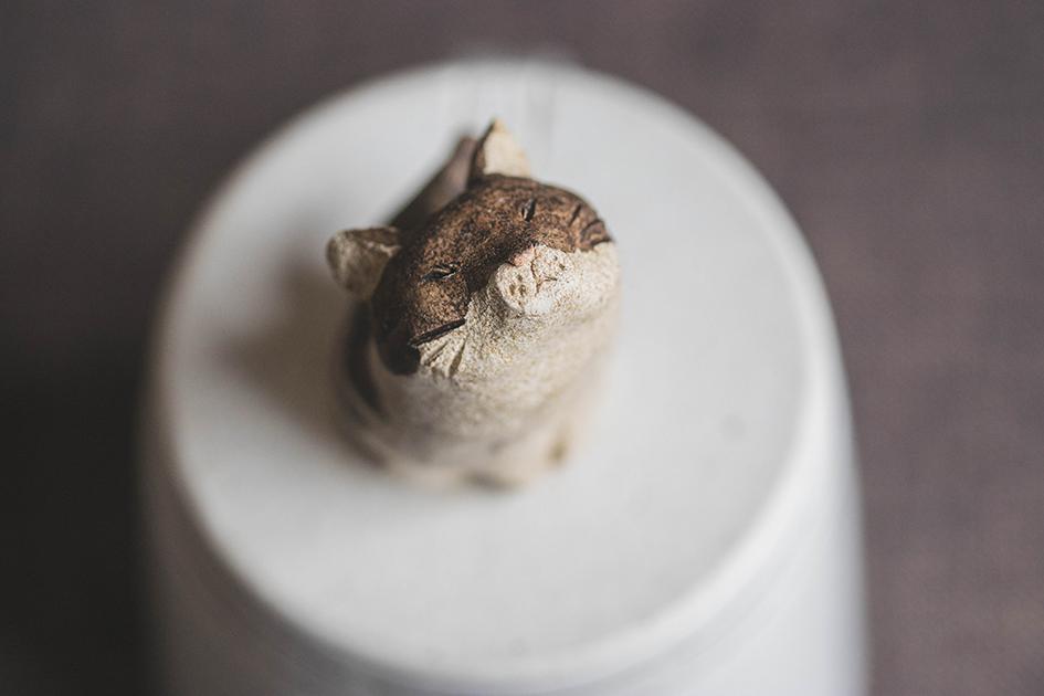 仰ぐ猫【猫_986】 | 6枚目