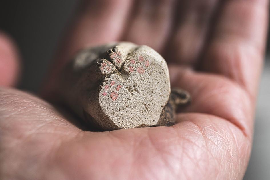 仰ぐ猫【猫_986】 | 7枚目